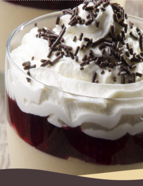 GELADO DE CHOCOLATE COM COCO